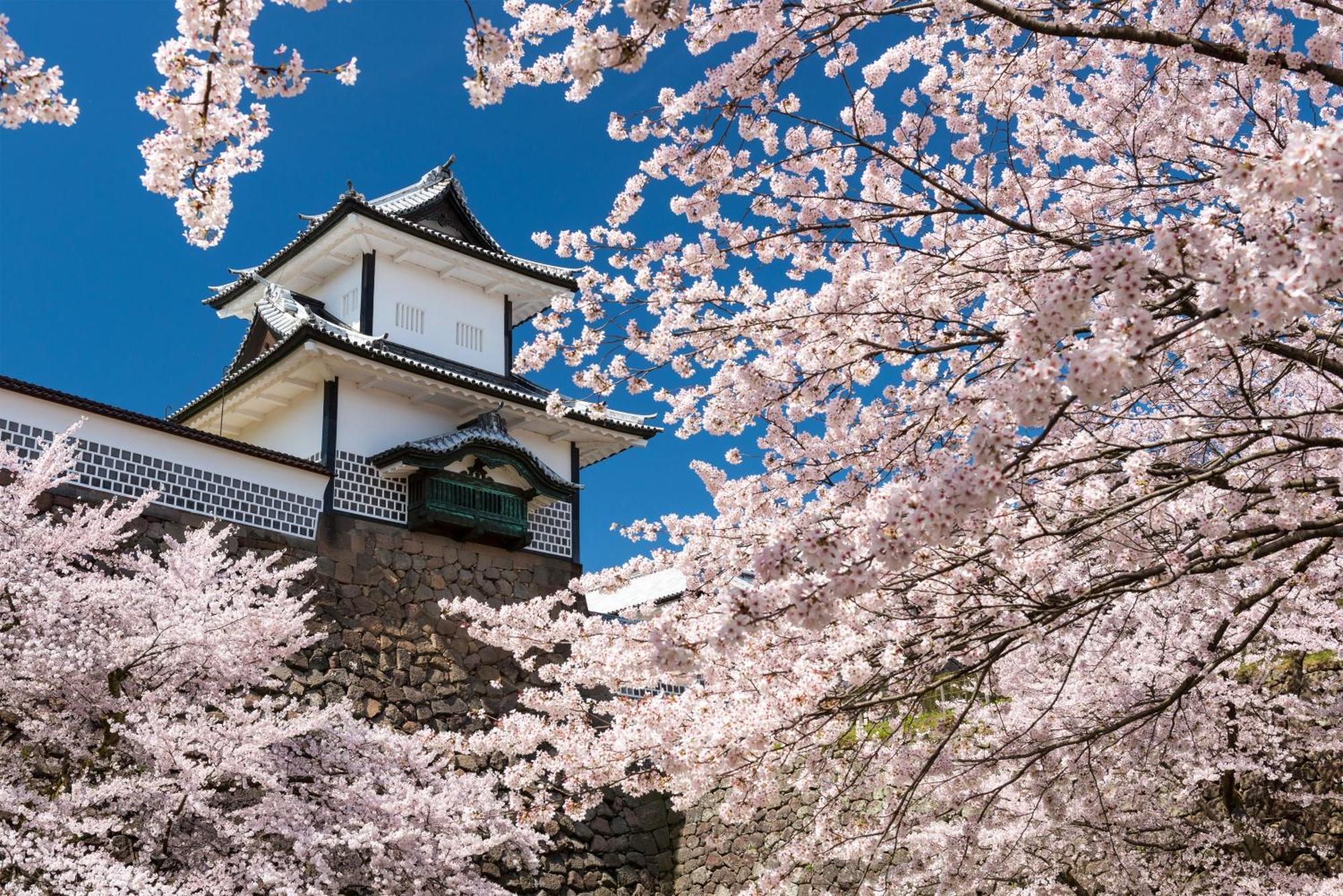 Tokyu Stay Kanazawa Exterior foto